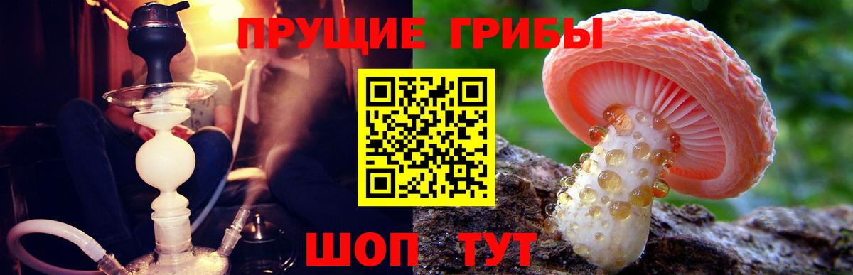 Псилоцибиновые грибы прущие грибы Нижний Тагил